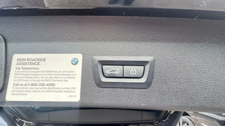 BMW X1 L89345 (12)