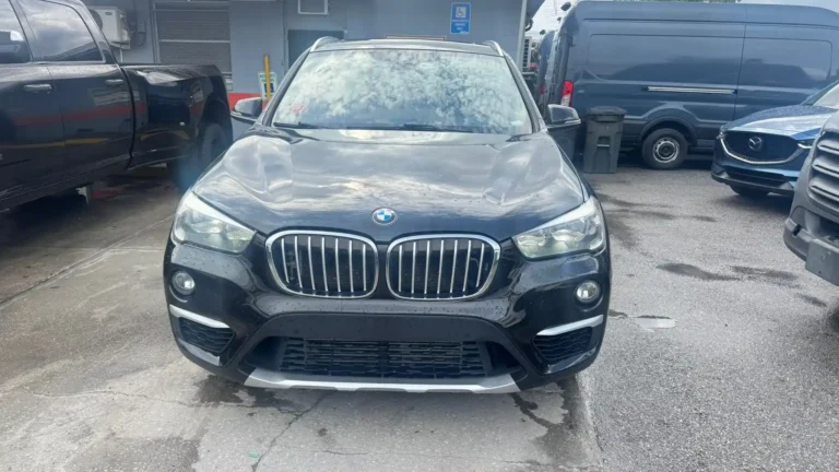BMW X1 L89345 (2)