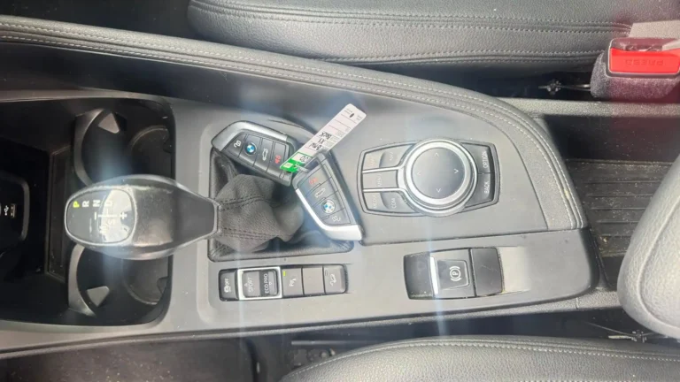 BMW X1 L89345 (20)