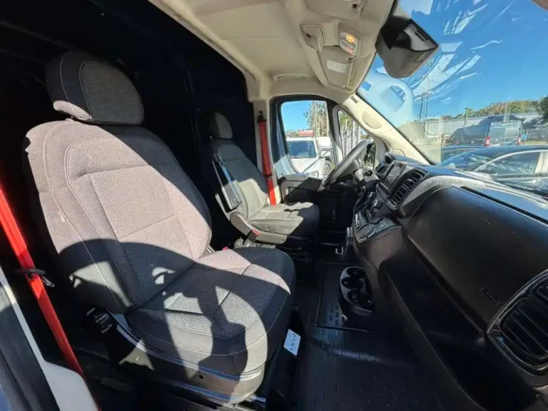 ram-promaster-125847 (3)