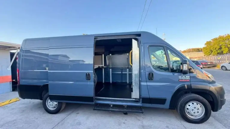 ram-promaster 548316 (19)