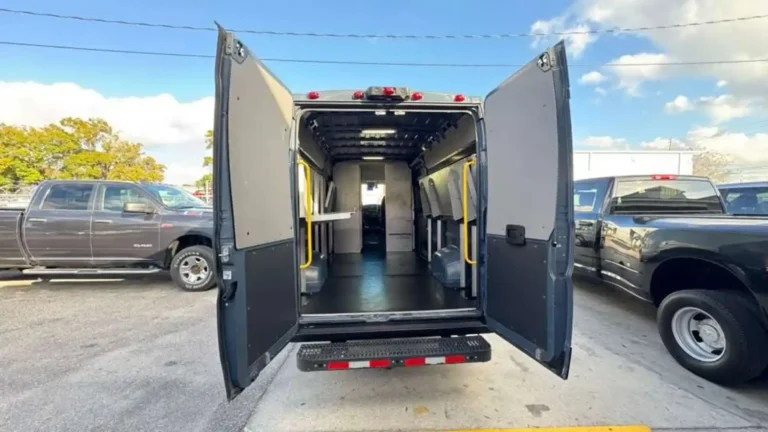 promaster 112509 (8)