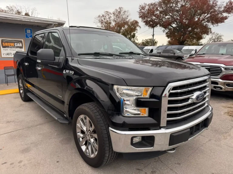 ford f-150 c29203 (1)