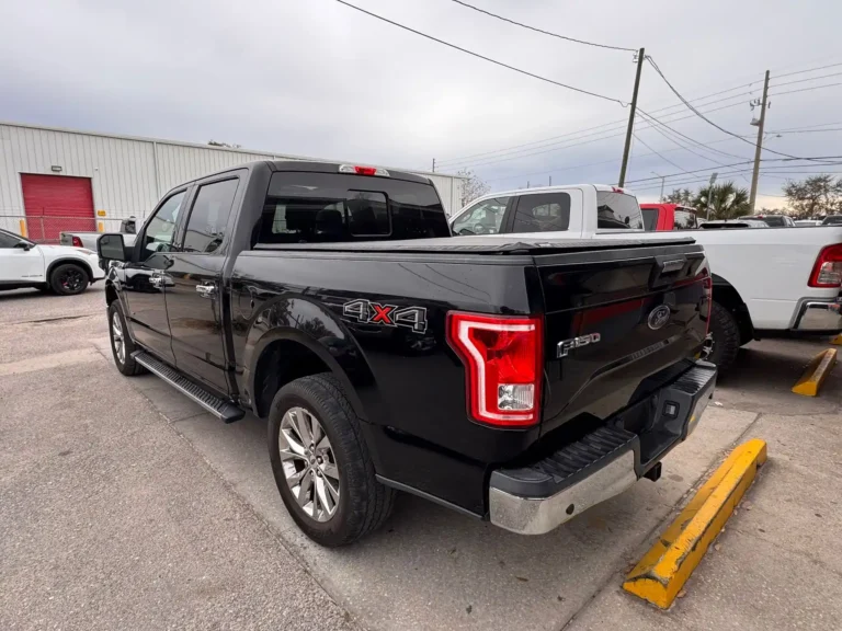 ford f-150 c29203 (6)