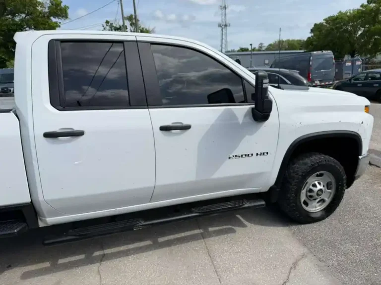 225597 (1)