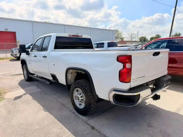 225597 (13)