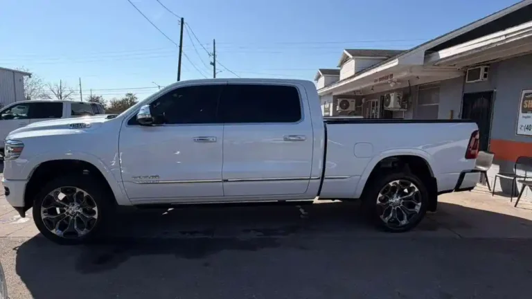 WhatsApp Image 2026-03-03 at 12.19.12 (2)