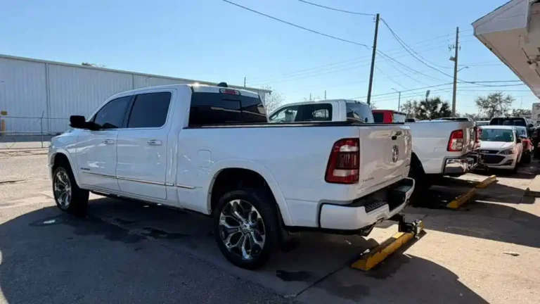 WhatsApp Image 2026-03-03 at 12.19.12 (3)