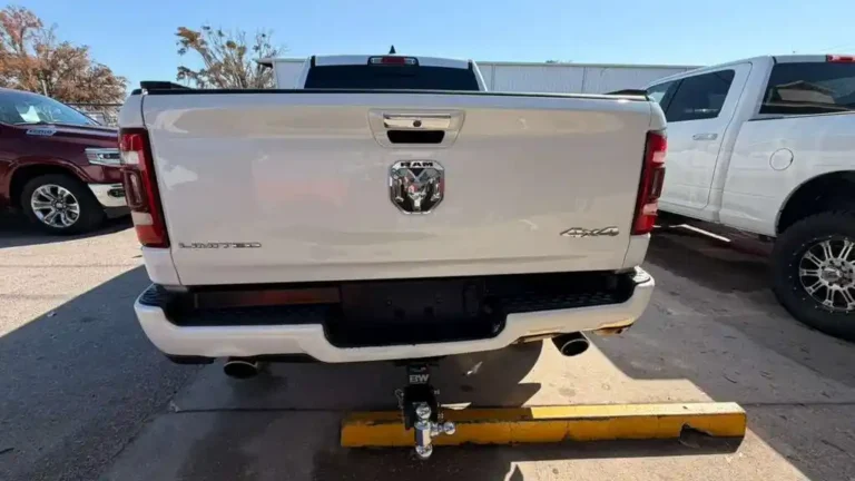 WhatsApp Image 2026-03-03 at 12.19.12 (4)