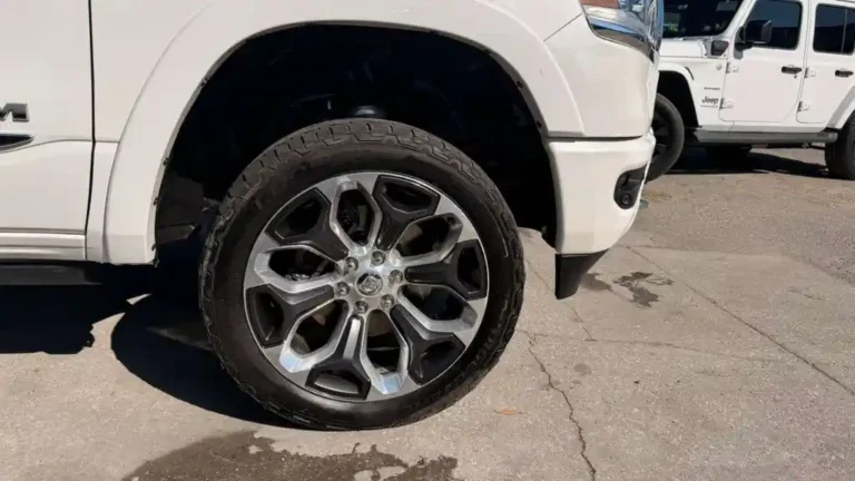 WhatsApp Image 2026-03-03 at 12.19.13 (1)