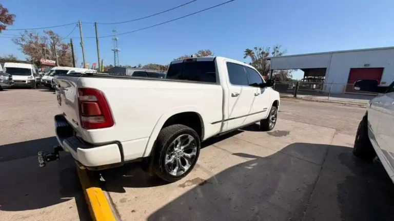 WhatsApp Image 2026-03-03 at 12.19.13