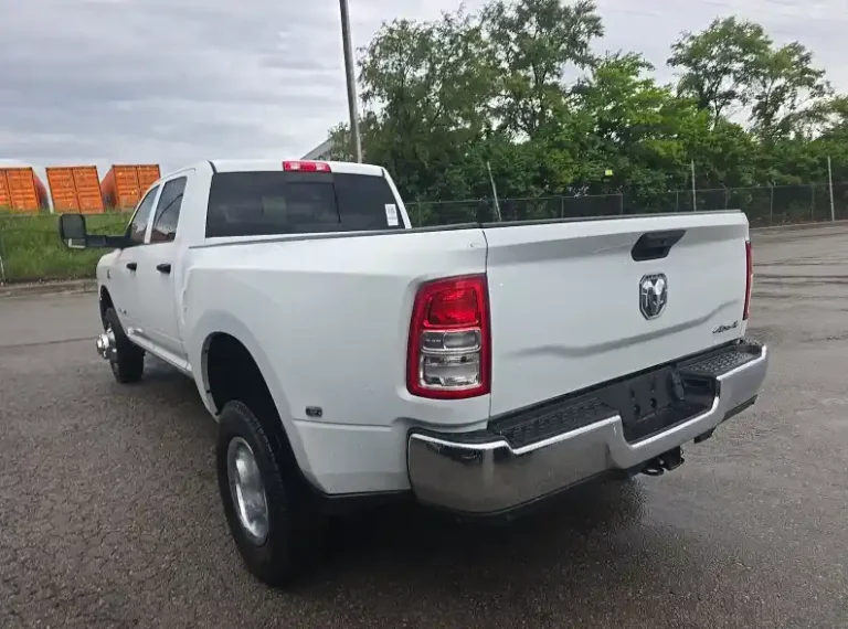 255679 (4)