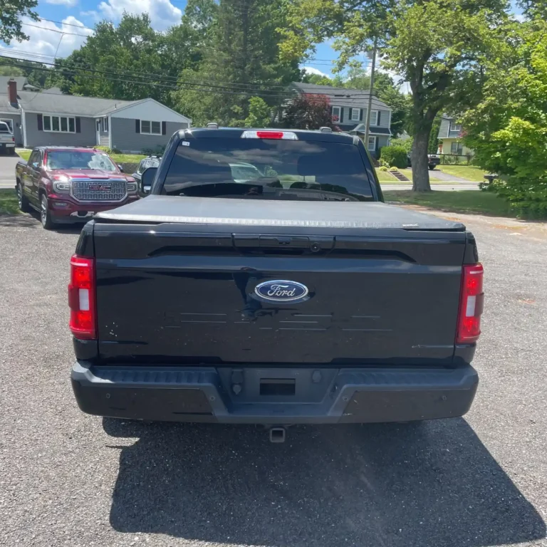 B43776 ford f-150 (3)