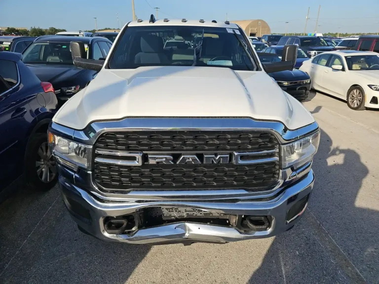276681 (1)