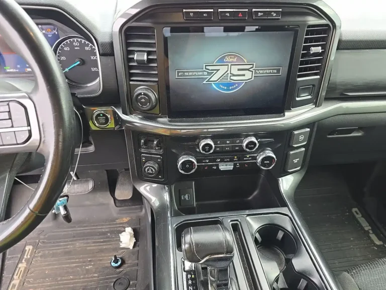 A96835 FORD F-150 (10)