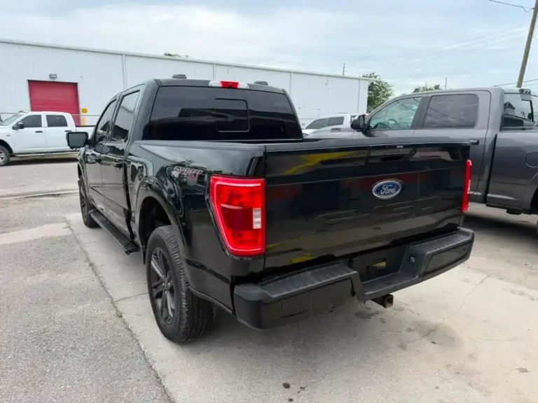 C91802 F-150 (10)