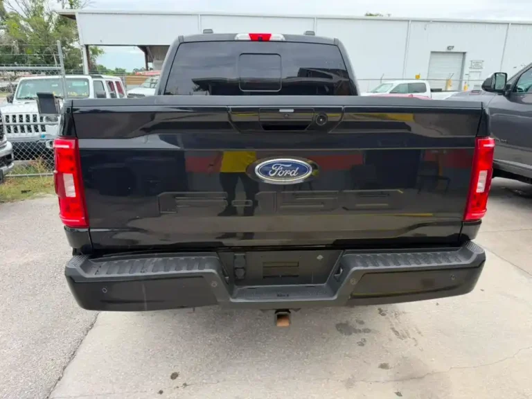 C91802 F-150 (13)