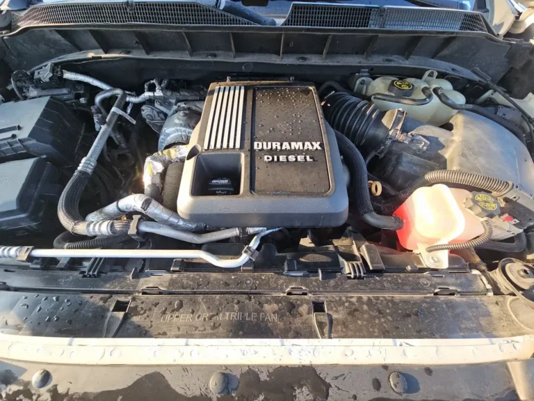 297540 SILVERADO (11)